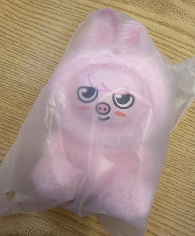 ［線下現貨］SKZ 六期飯咪 粉紅皮娃娃