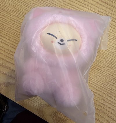 ［線下現貨］SKZ 六期飯咪 粉紅皮娃娃