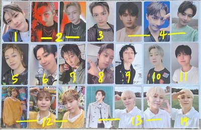 SVT  可當綁🩵／可單帶區   