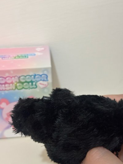 Nct Wish 彩娃 sakupang 黑胖