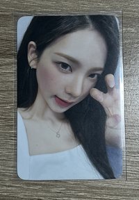 展會入場貓抓柚