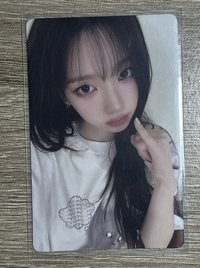 25年生日柚（整組）