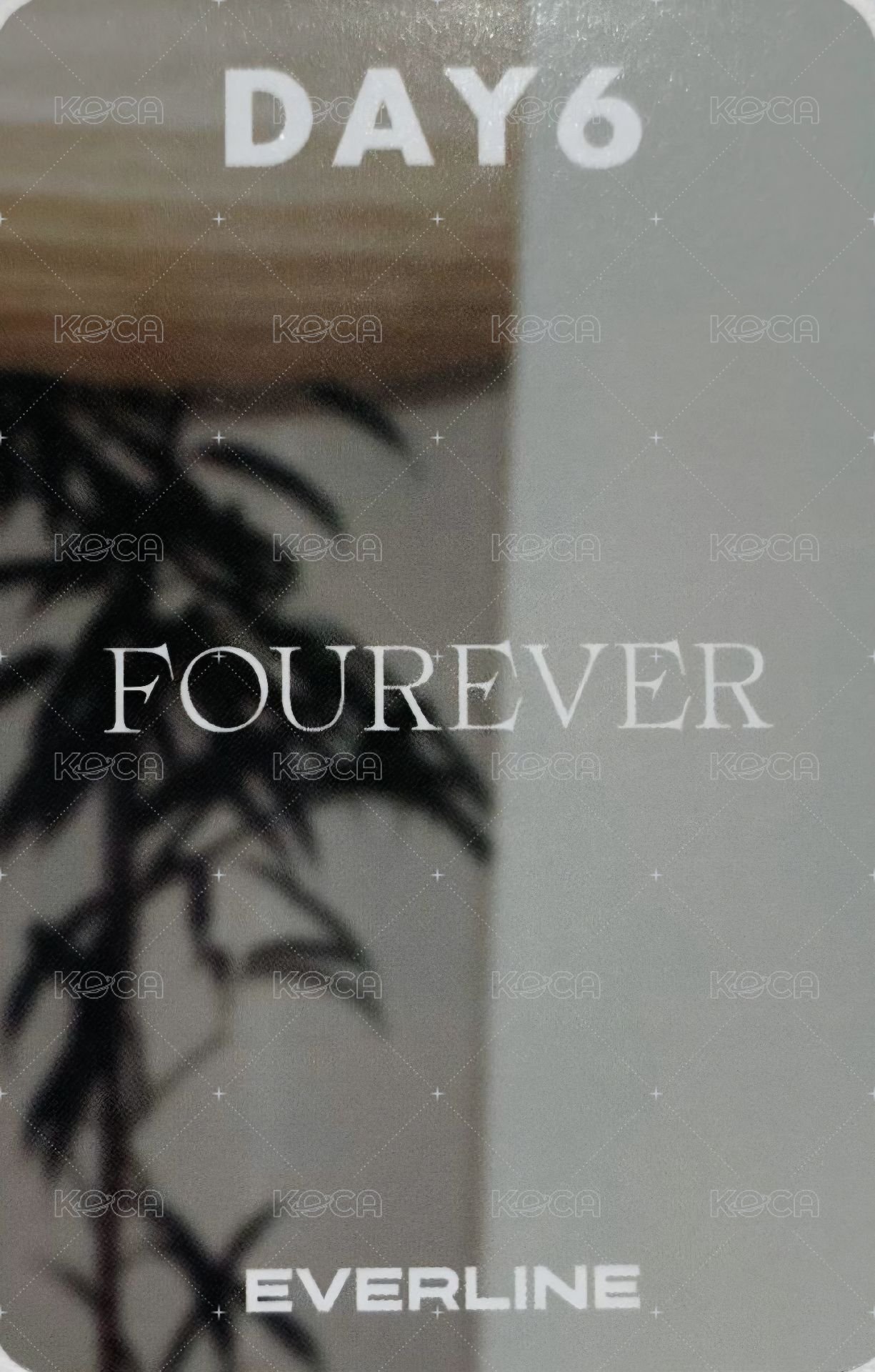 迷八 el 簽售卡  背面