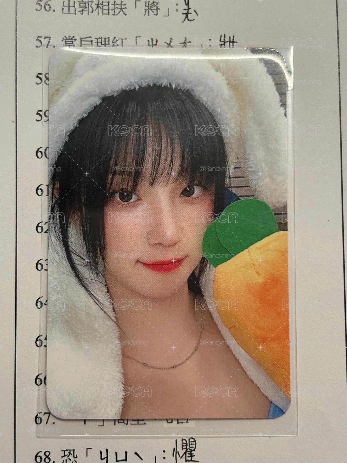 蘿蔔琦