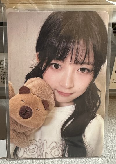 卡皮吧拉怜 中文卡背