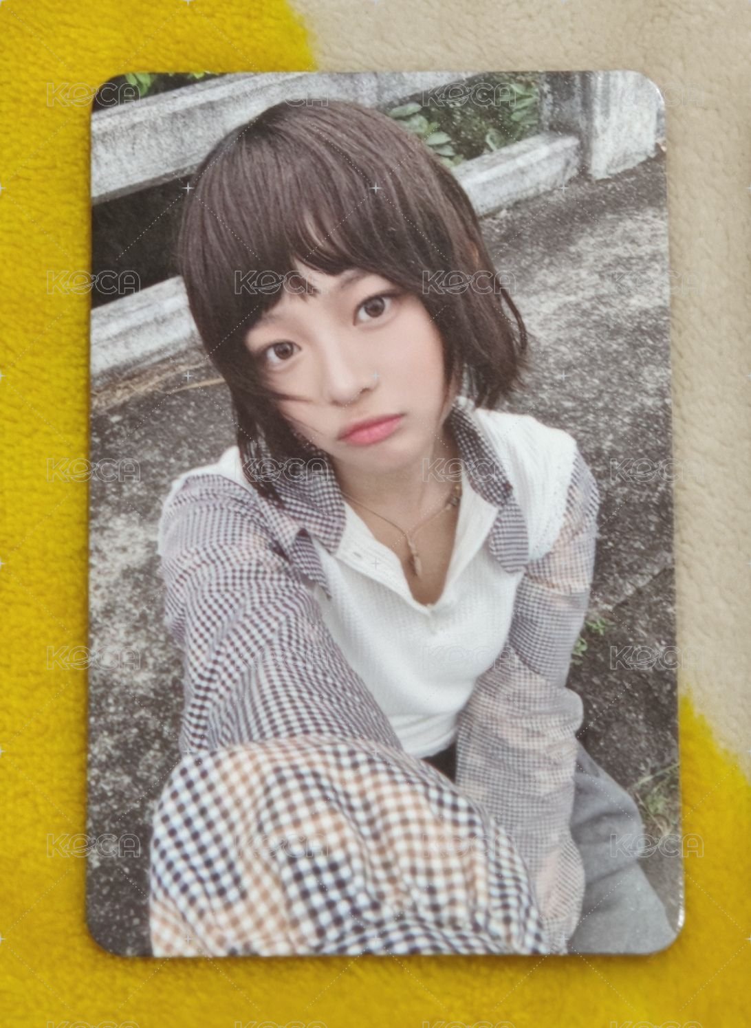 Hanni 小麵包