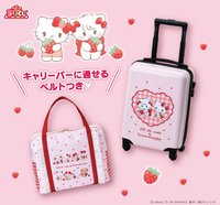 Lil ala mode × 三麗鷗