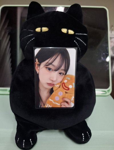 薑餅人麻糬熊 中背