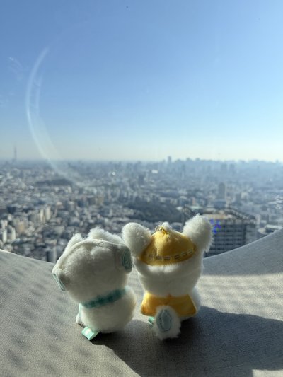 雪人娃猛春+正四單封兩張