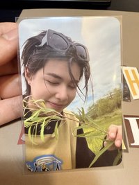 拈花惹草的路易