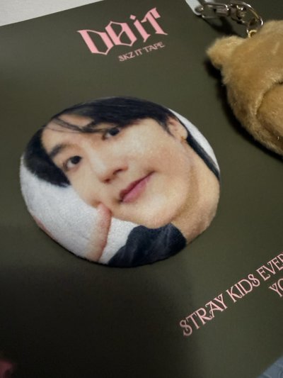 DO IT 快閃店 毛茸茸徽章套組 城