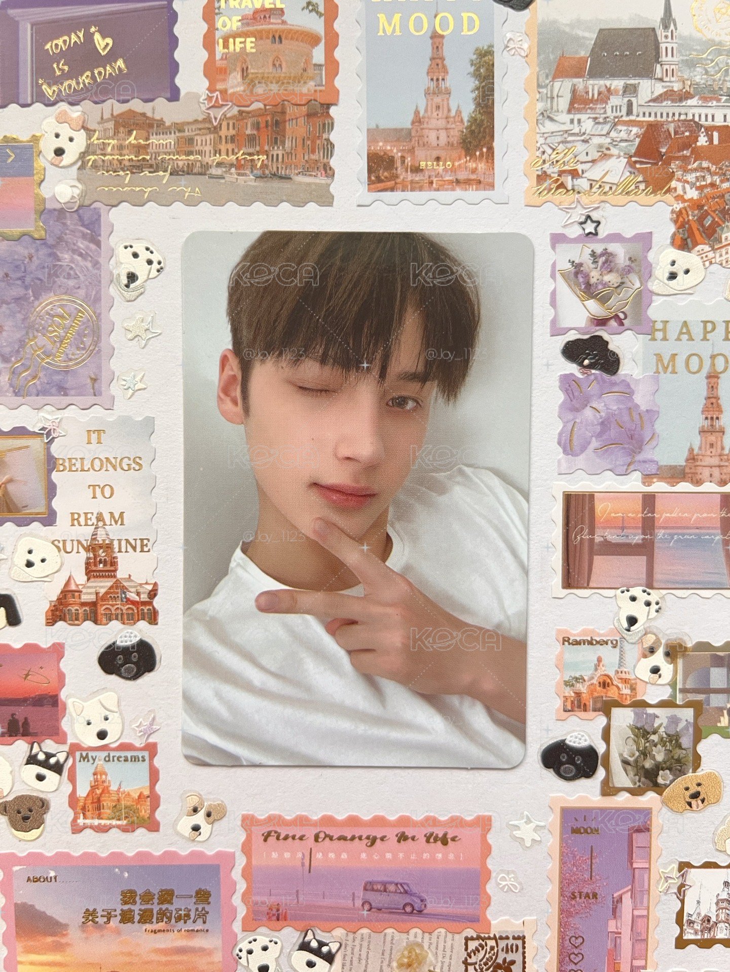 Search image