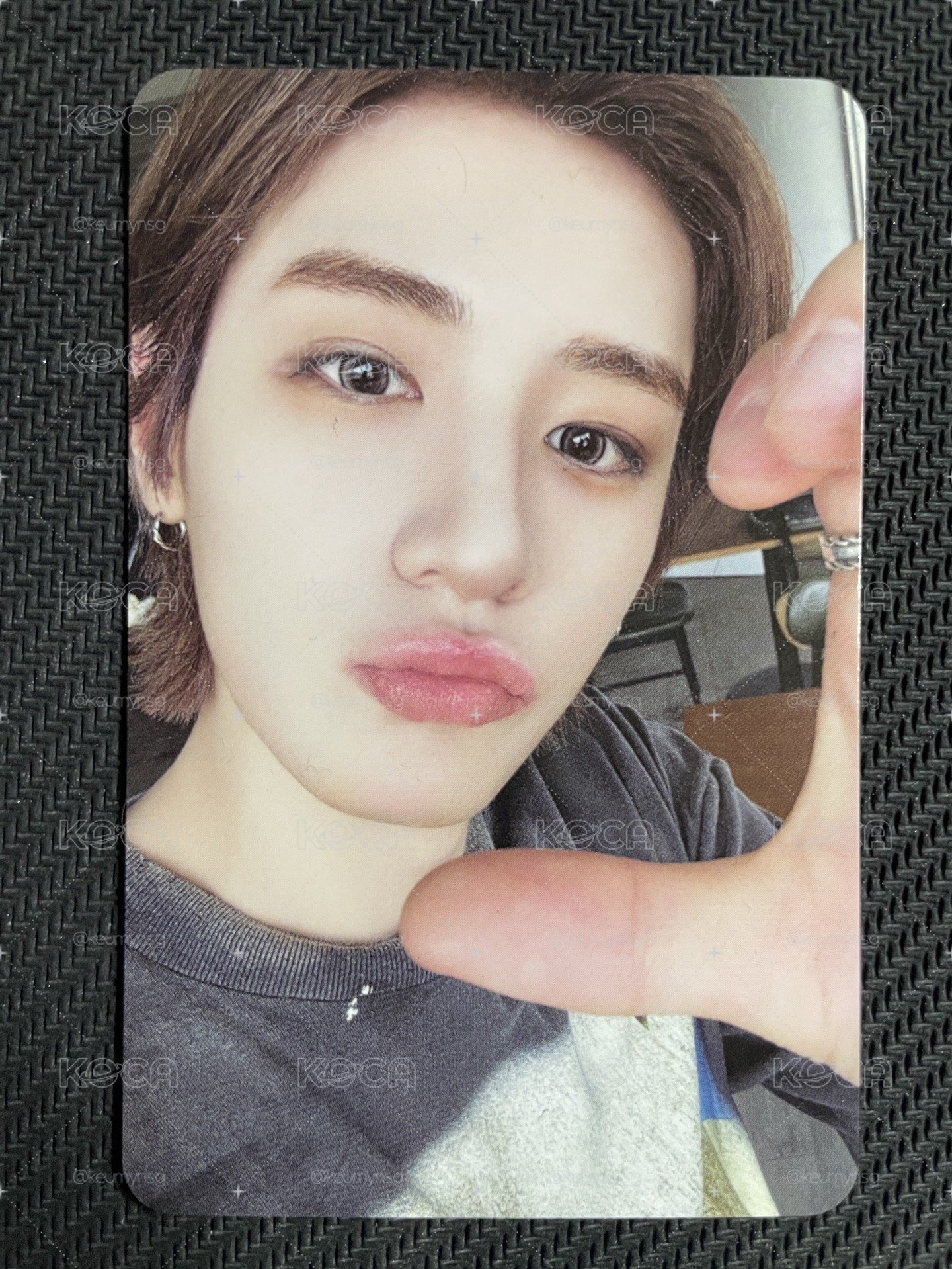 BOYNEXTDOOR 迷五專卡