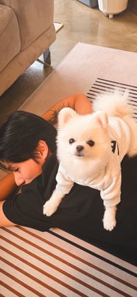 我會寵他