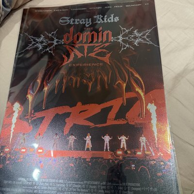 現貨 | Stray kids 世巡電影海報/明信片/爆米花票卡