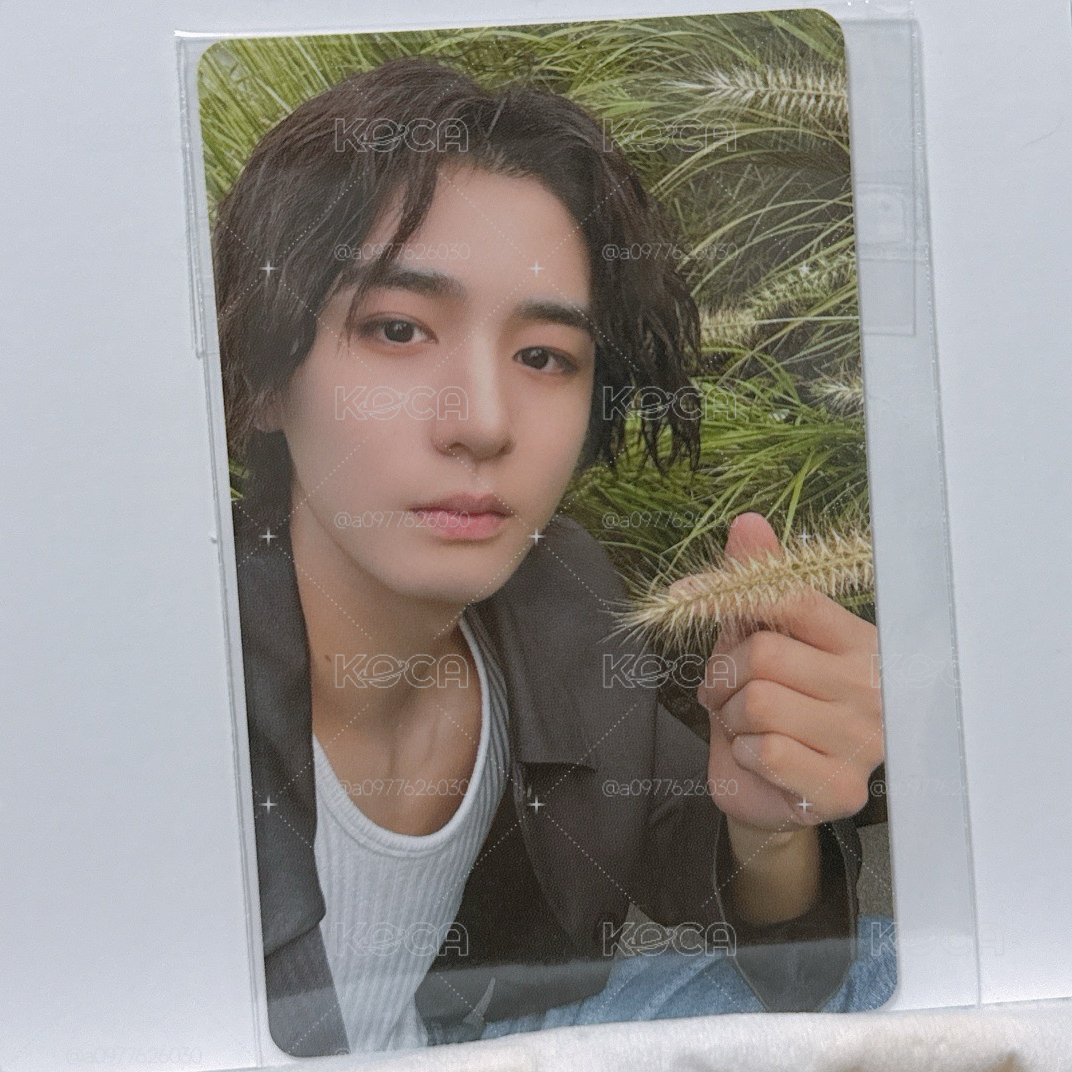 一些李涵尼🐟