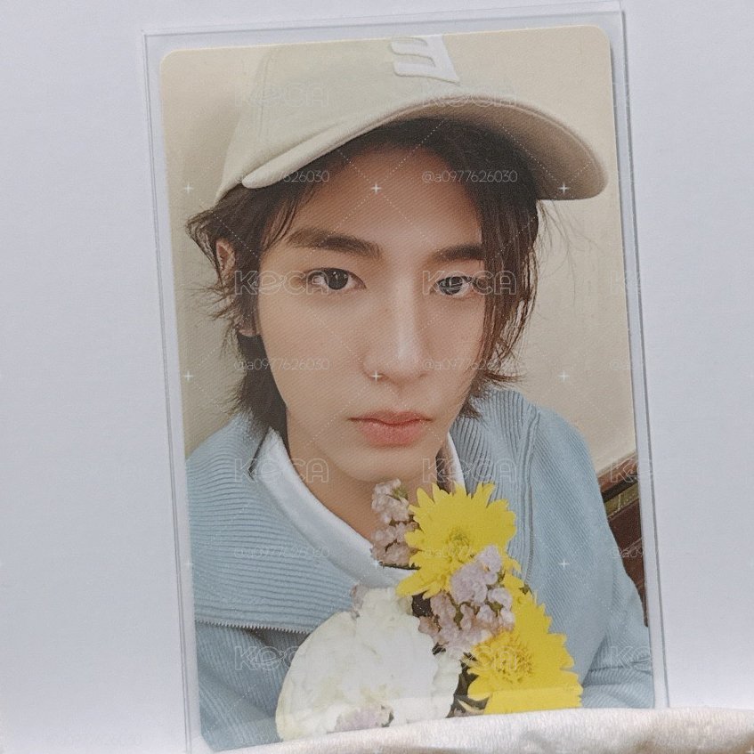 一些李涵尼🐟