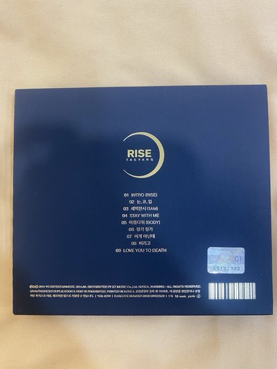 TAEYANG RISE專輯