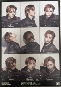 No Genre 貼紙 泰山專輯貼紙