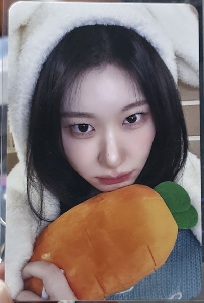 兔子領、鯛魚燒領