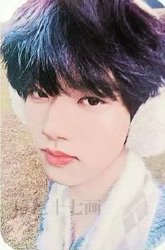 26新音 榮耀 SSR 隨機卡 