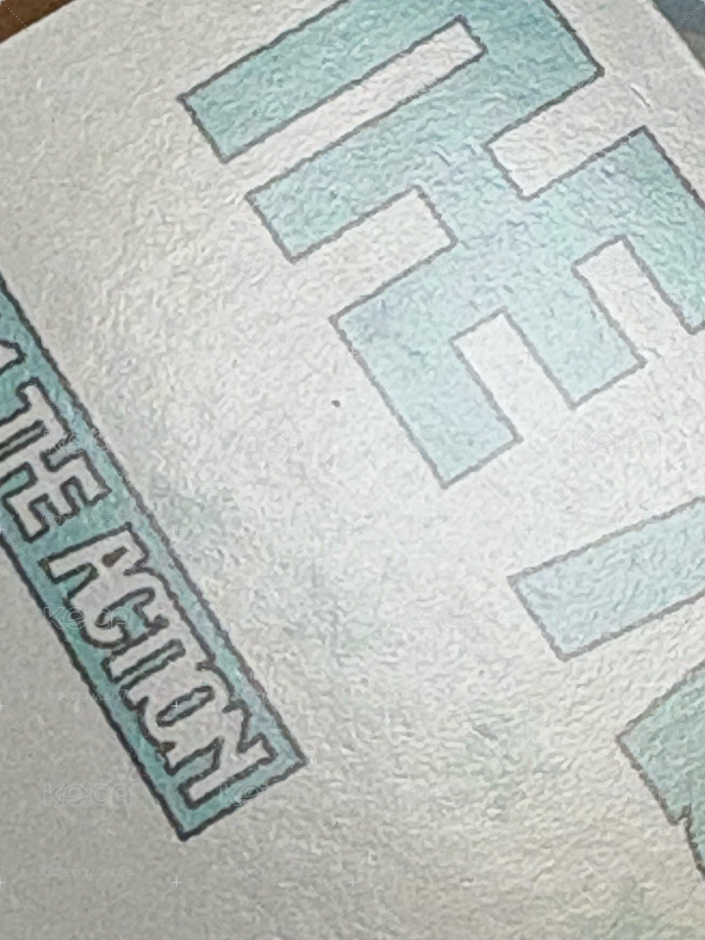 可愛的水獺