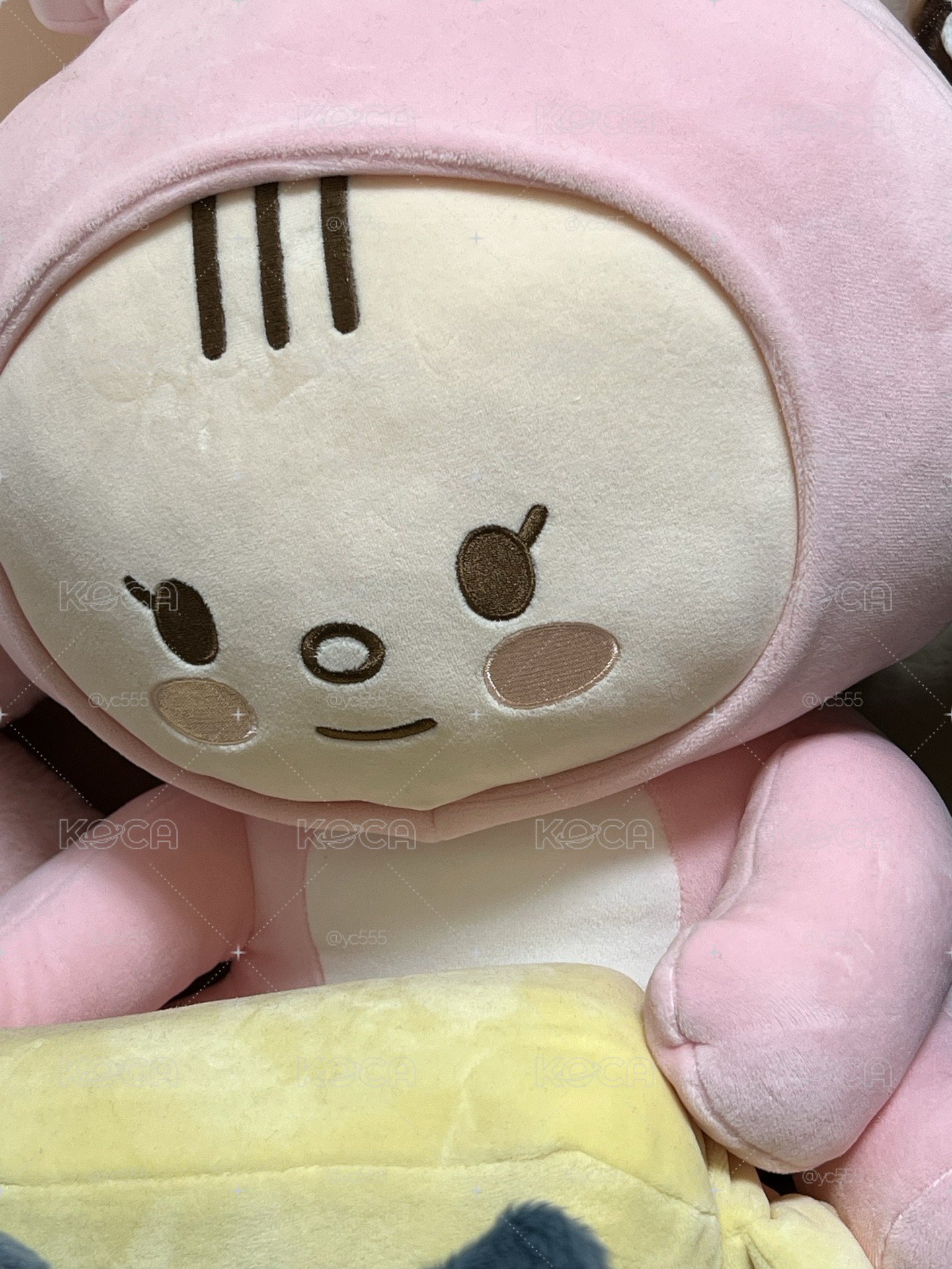 淨兔鼠 大娃