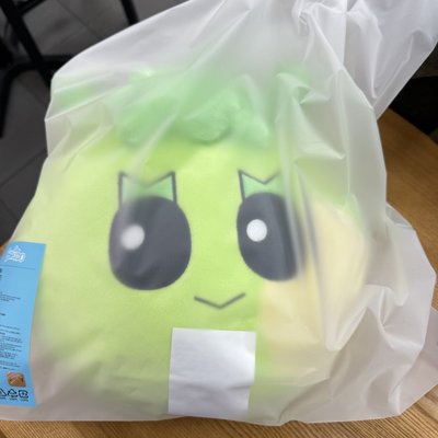 BBNEXDO 快閃抱枕