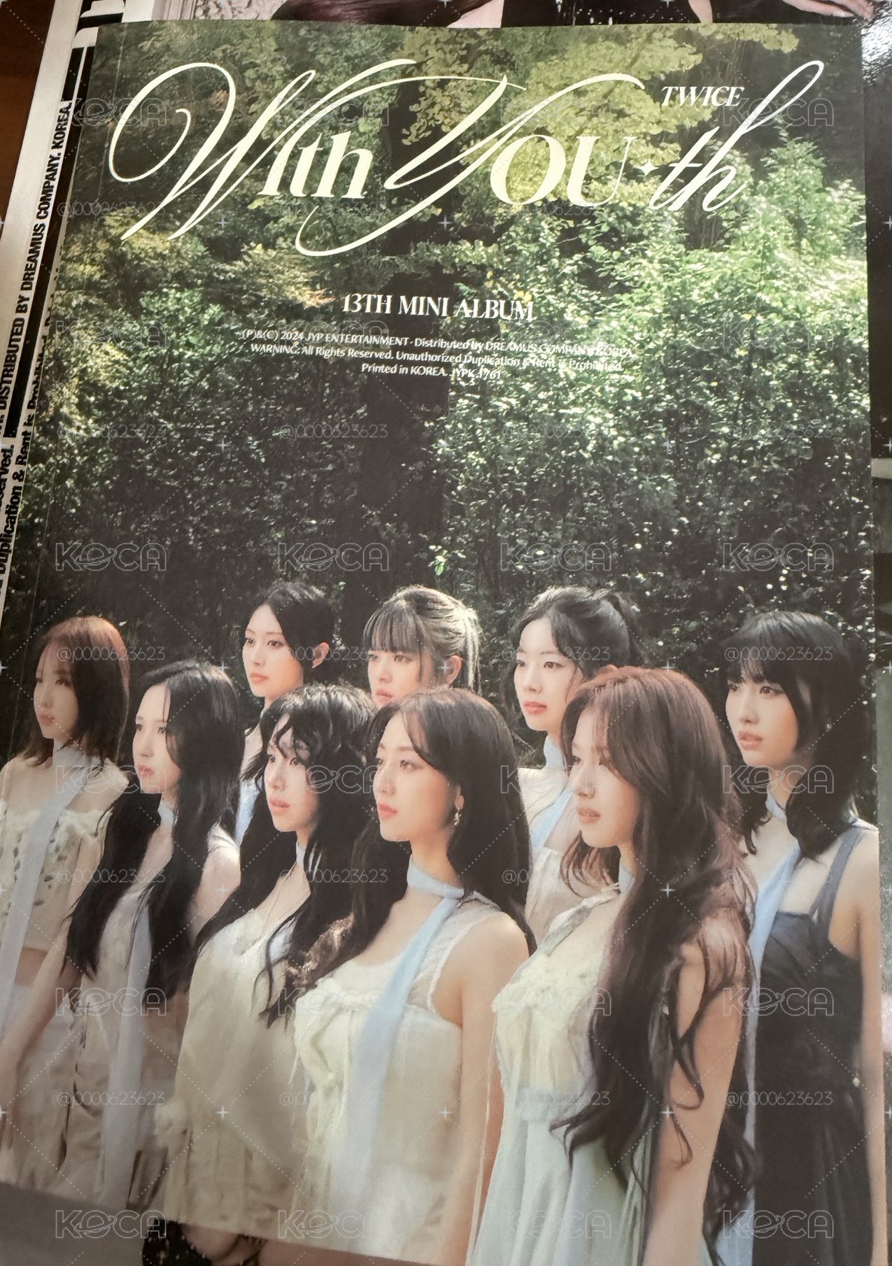 迷13綠版