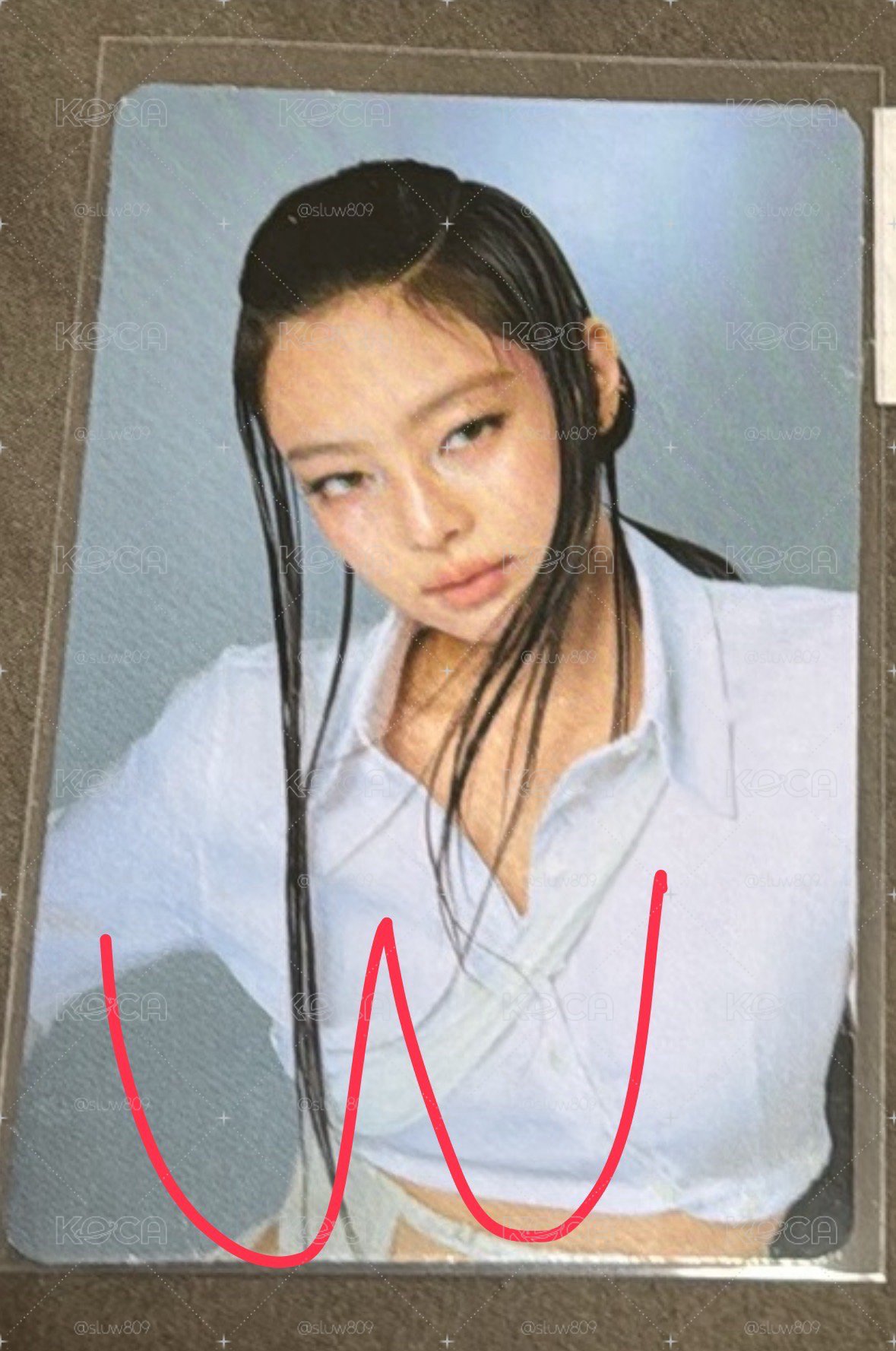 護照套卡 妮