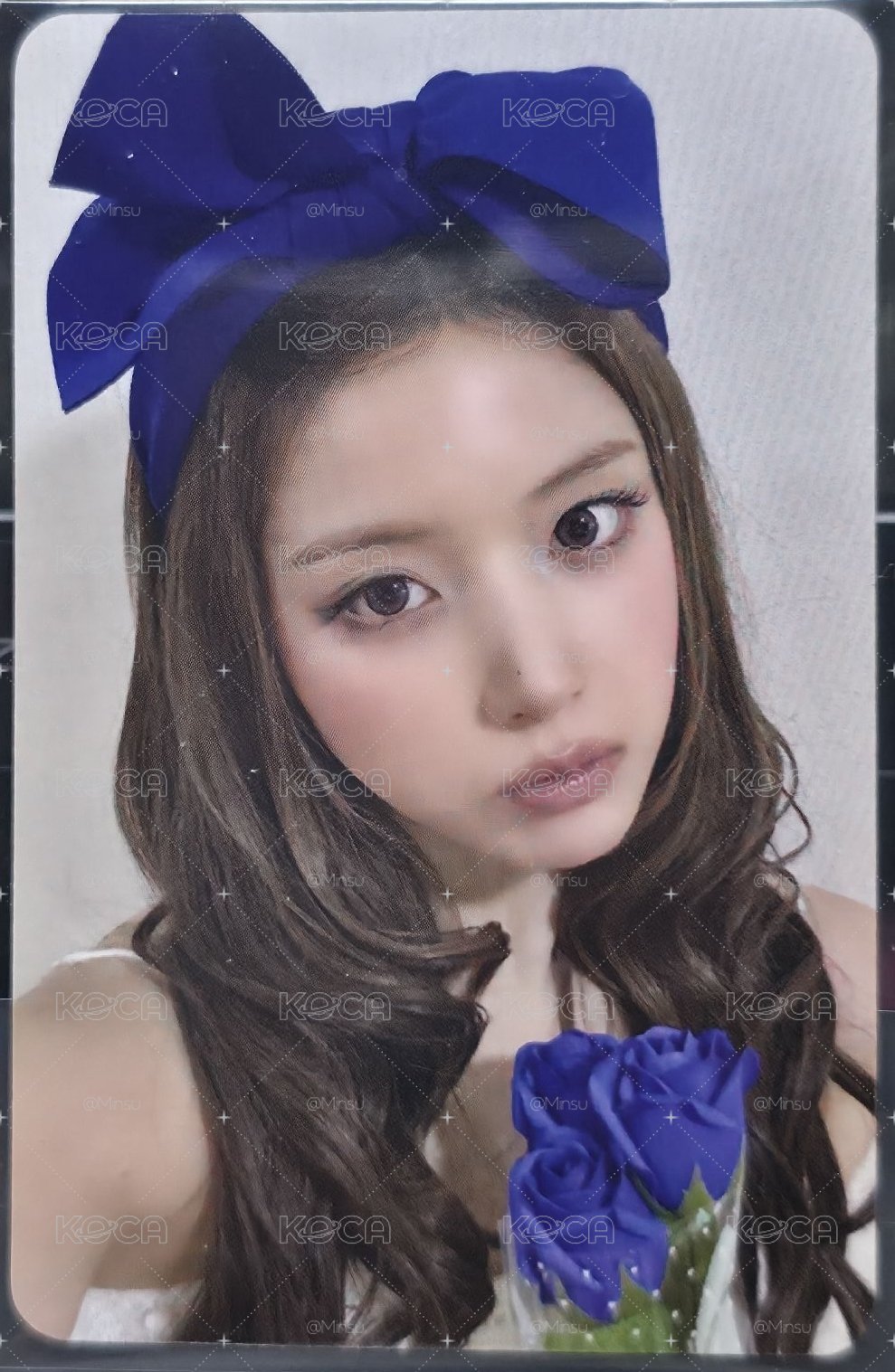 藍玫瑰友💙