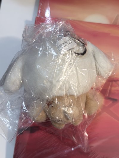 （現貨 可當日寄出）TXT 原皮嘻+3本正規四未拆