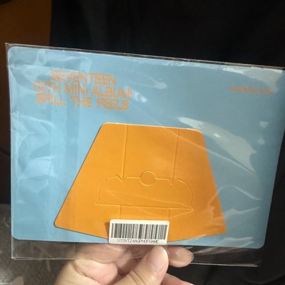 SEVENTEEM MINI12 wvs 紙相框大合照🥺