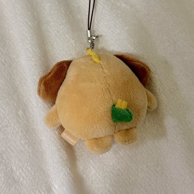 曬黑狗龍 墨鏡ver