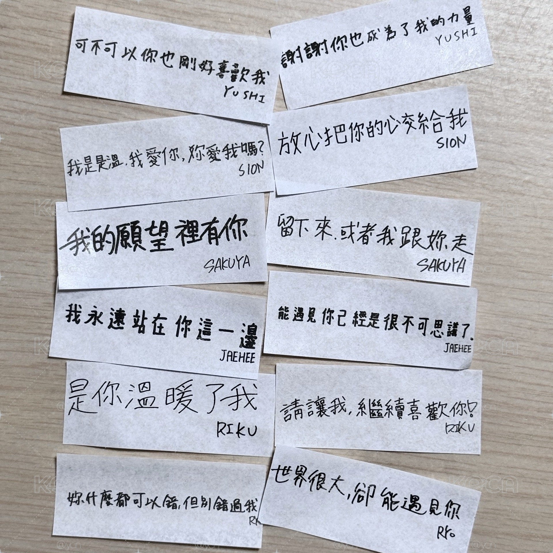 nct wish紙花
