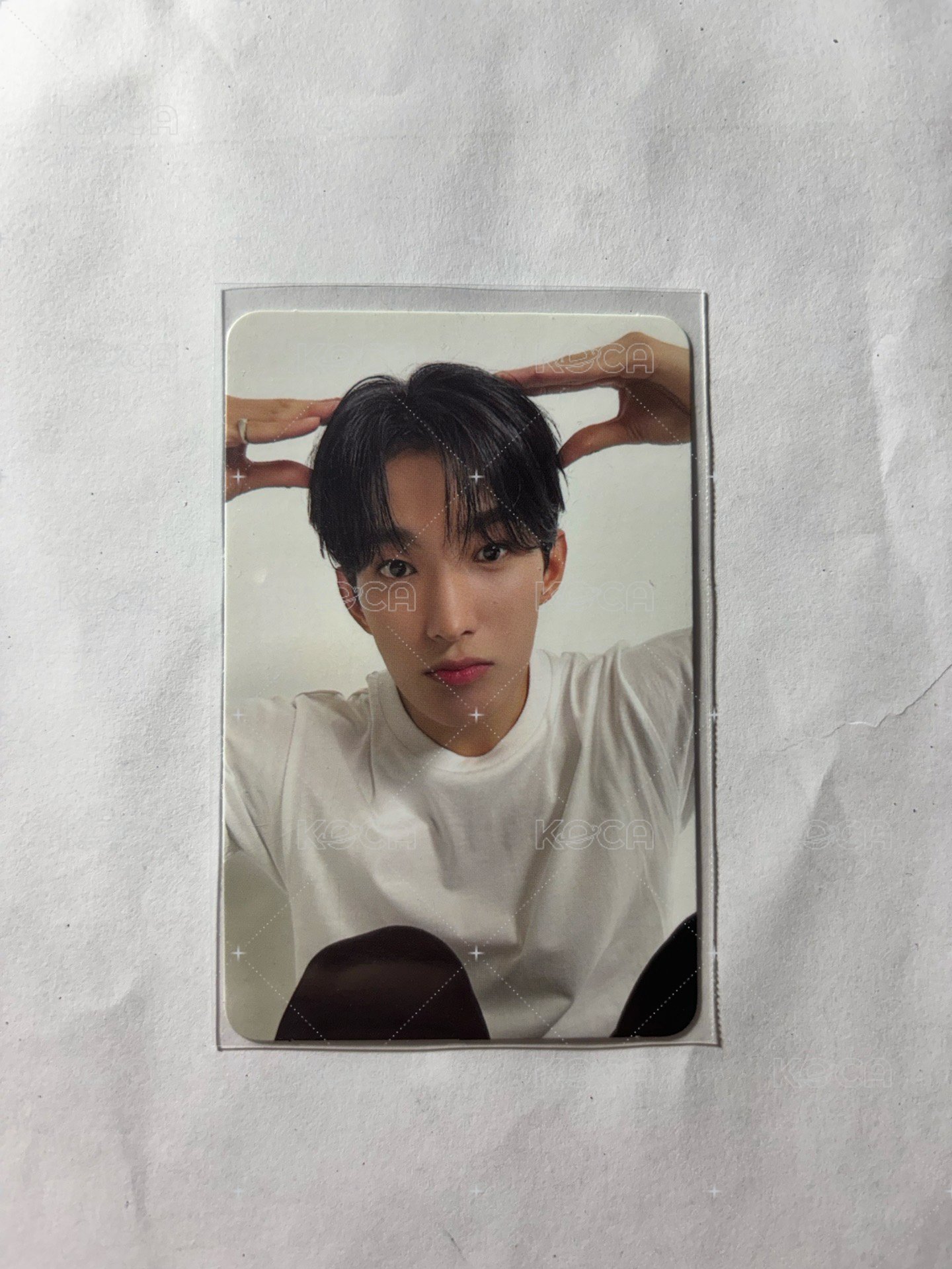 小狗碩