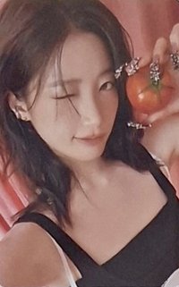 SPAGHETTI ms 台北 簽售卡 