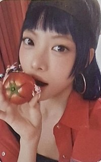 SPAGHETTI ms 台北 簽售卡 