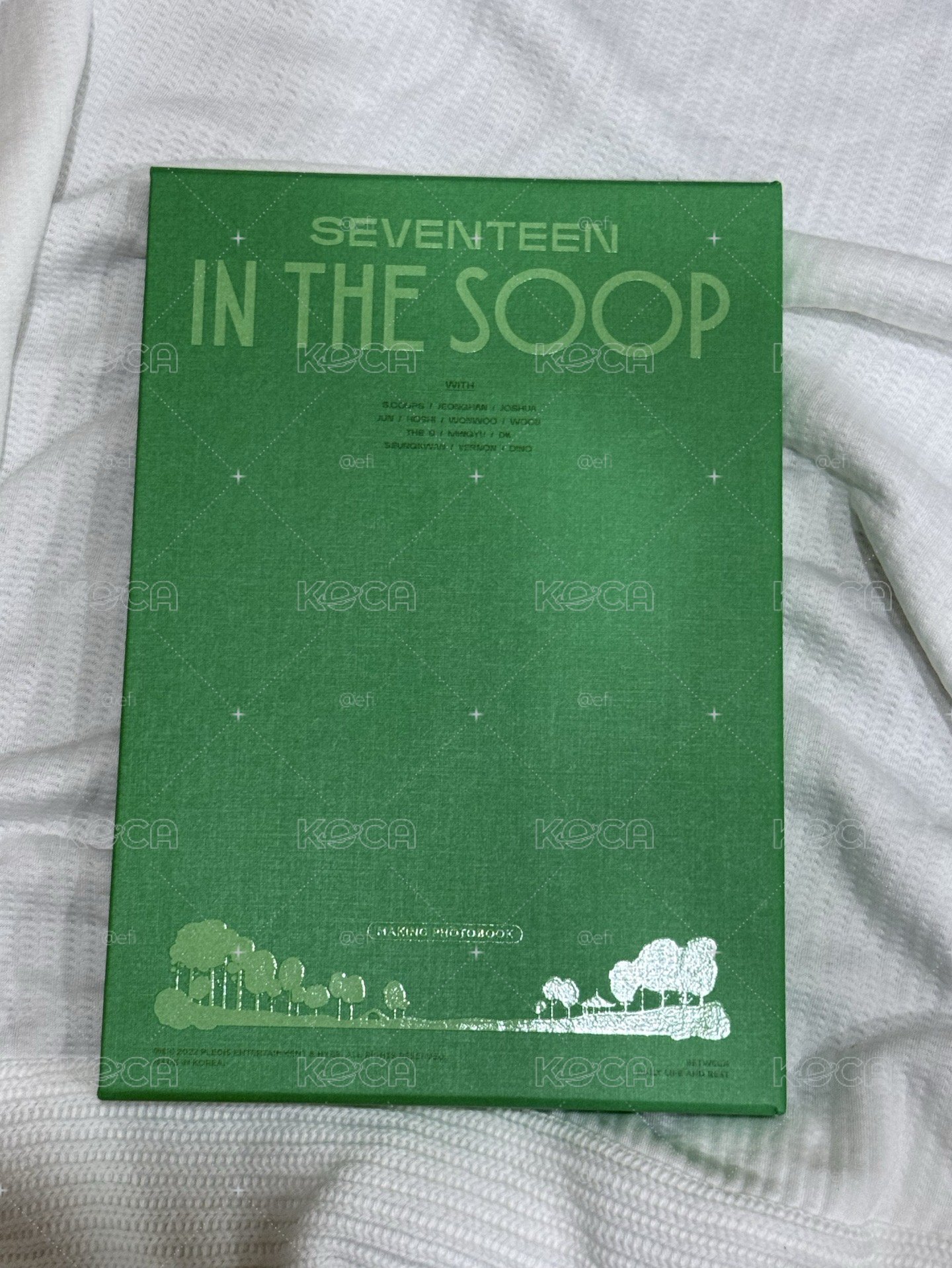 SEVENTEEN IN THE SOOP 寫真