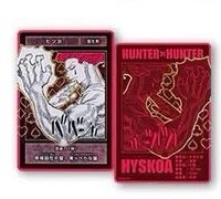 獵人數據卡 第一彈 數據卡 念能力卡