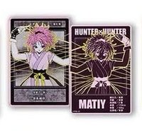 獵人數據卡 第一彈 數據卡 念能力卡