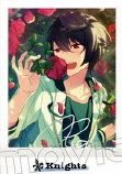舊V4花前 普 拍立得 