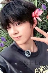 26新音 榮耀 SR 隨機卡 