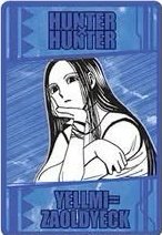 獵人數據卡 第二彈 數據卡 念能力卡