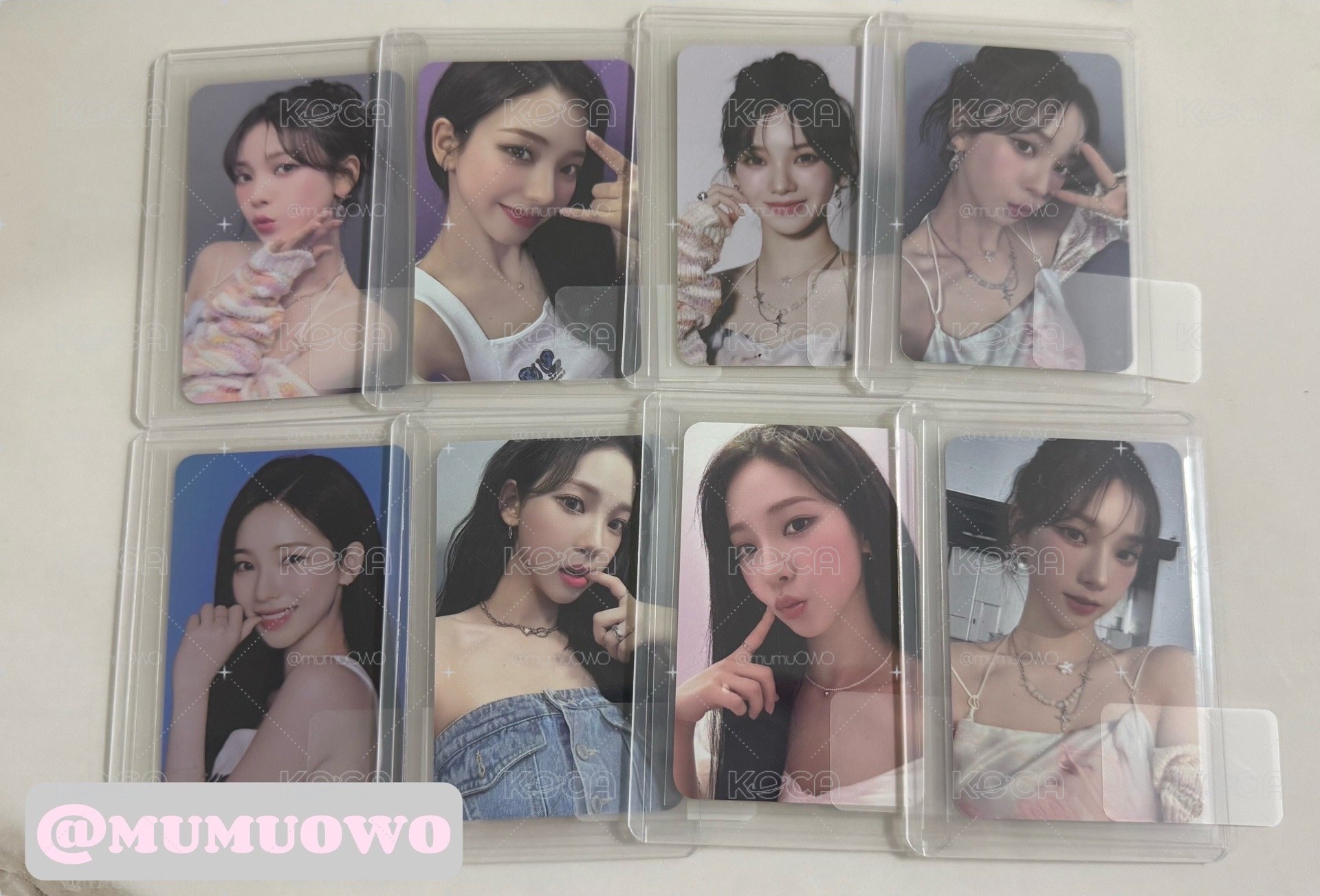 冬柚展會卡/下單兩張以上送冬雜誌卡和演唱會彩花❄️