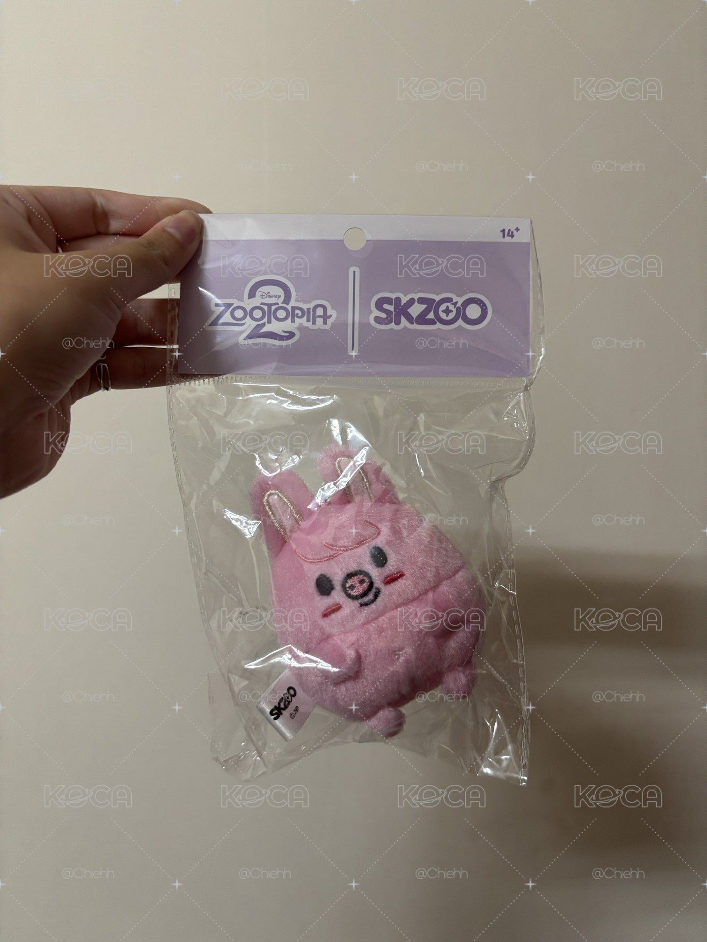 彬娃