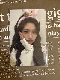 動物塑 薛（200）