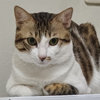 O⁠_⁠o