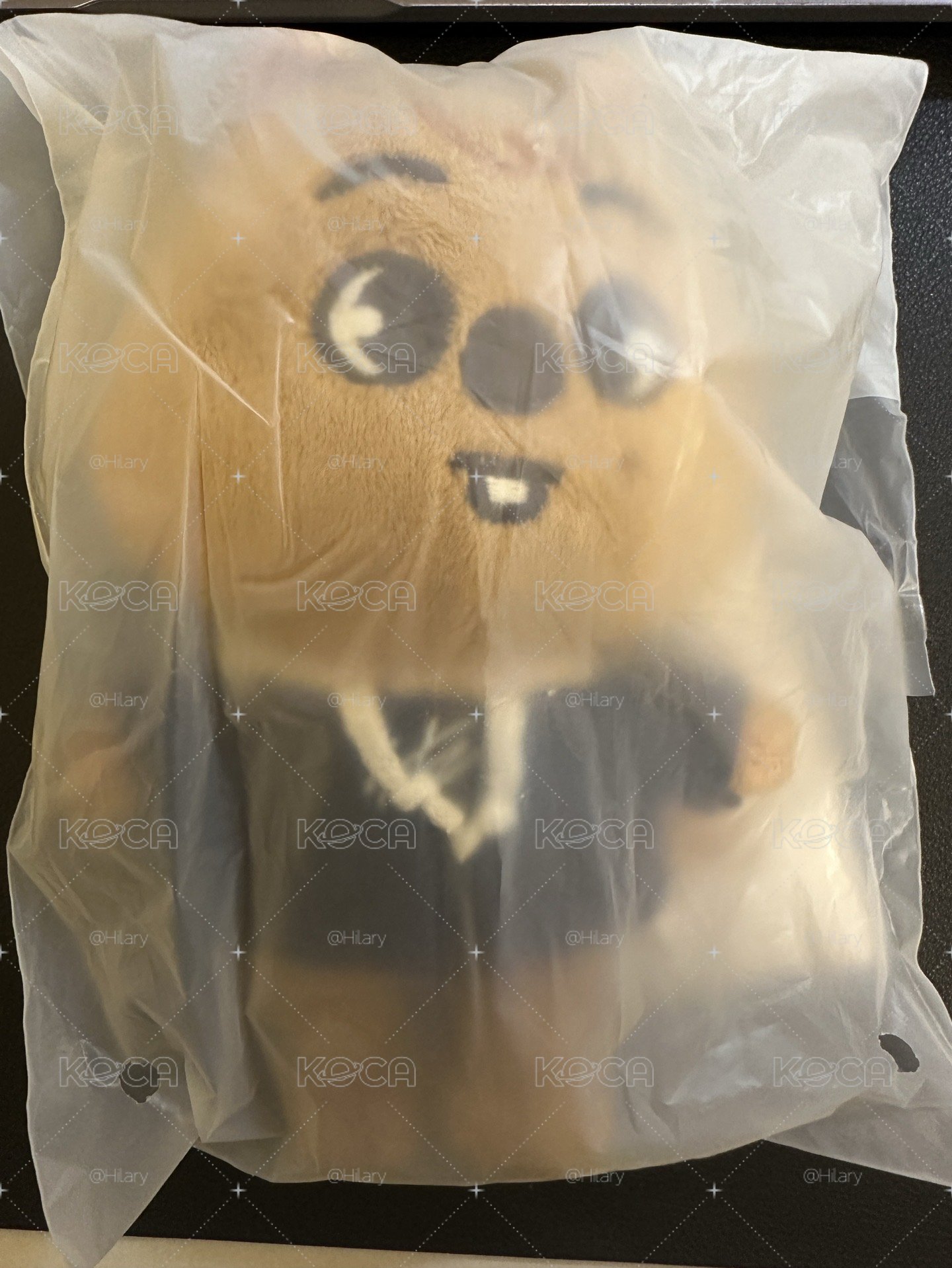 15cm城娃