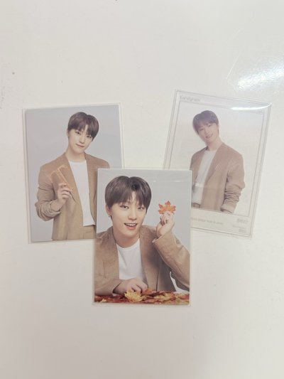 燦 楓葉卡🦦🍁·˚.𖤣｡ﾟ‪‪𖥧